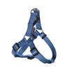 Access Harness - Large - Blue