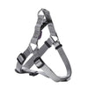 Access Harness - XS - Grey
