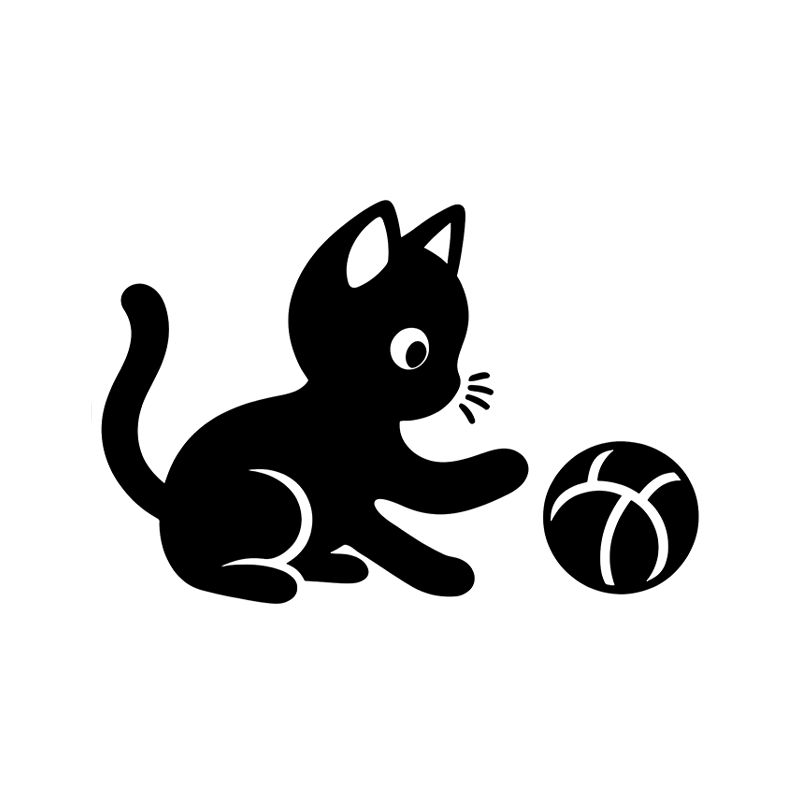 Cat Toys