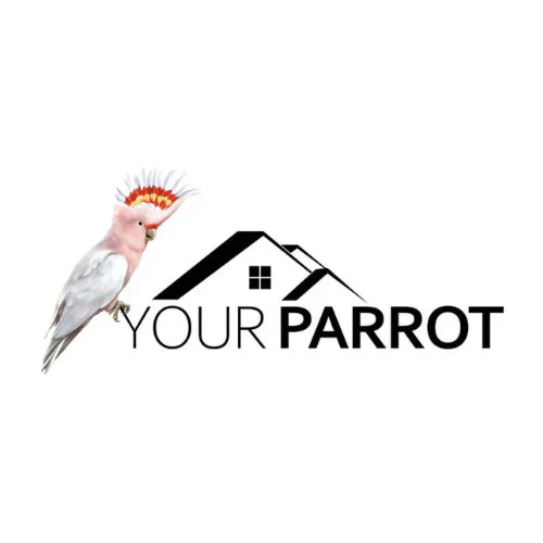 Your-Parrot
