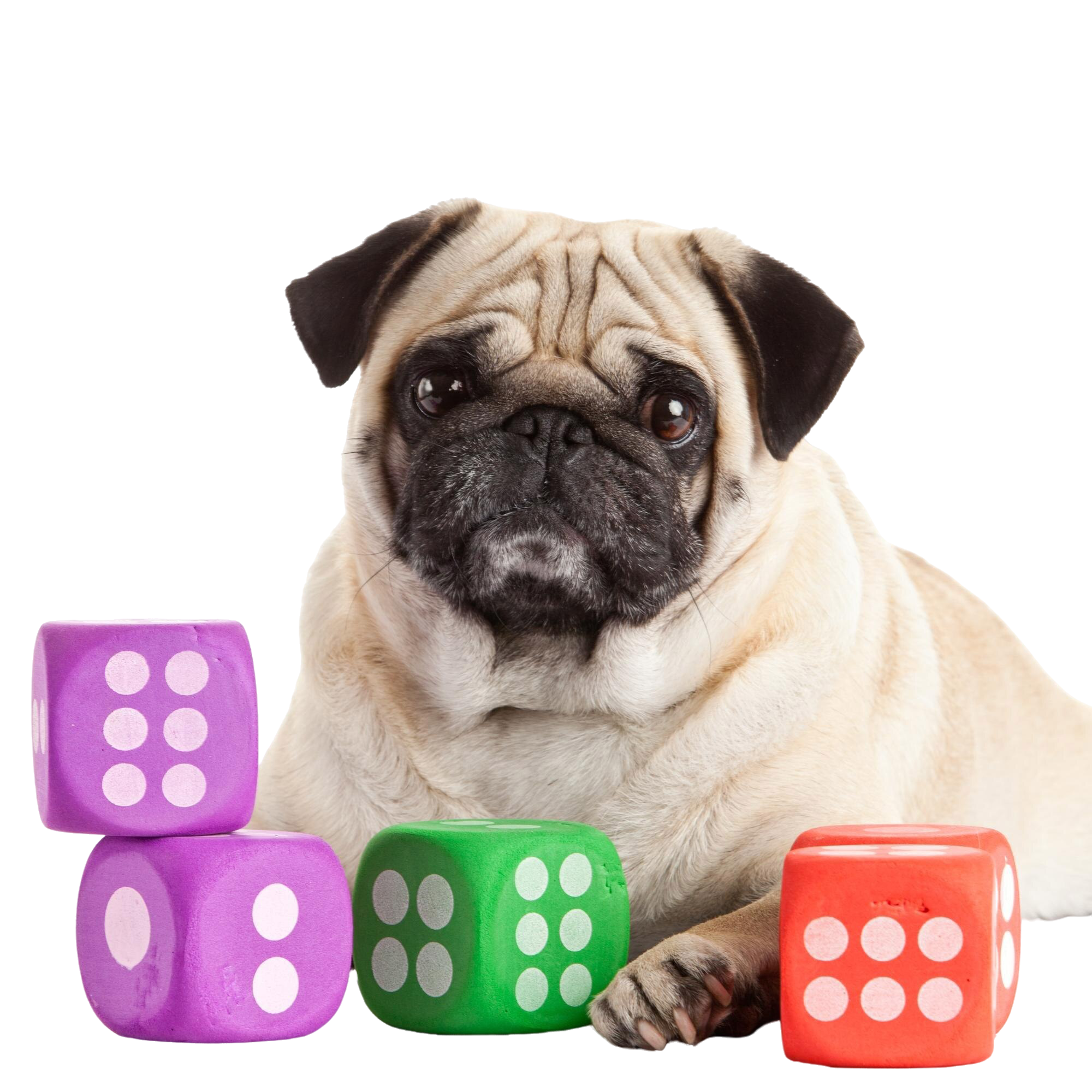 Dog Puzzles