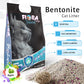 Fiora Super Premium Bentonite Cat Litter - 10L (Apple Scent)