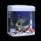 AQUARIUM MJ238