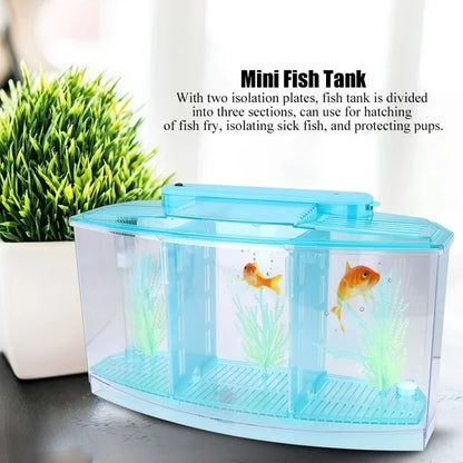 LED Light  Betta Box K5