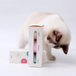Three Color Glowing Nibbling Catnip Bell Ball Catnip Toy