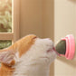 Cat Lick Catnip Ball