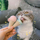 Ice Cream Catnip