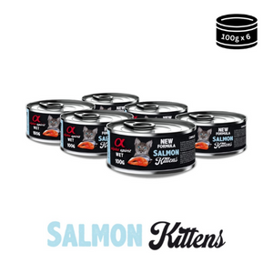 Wet Food for Kittens – Salmon in Gravy (100g Can)