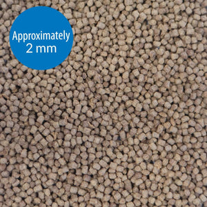 API Pellets Cichlid Fish Food 2.5 oz
