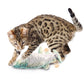 Jittering Fish – Realistic Flopping Cat Toy