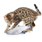 Jittering Fish – Realistic Flopping Cat Toy