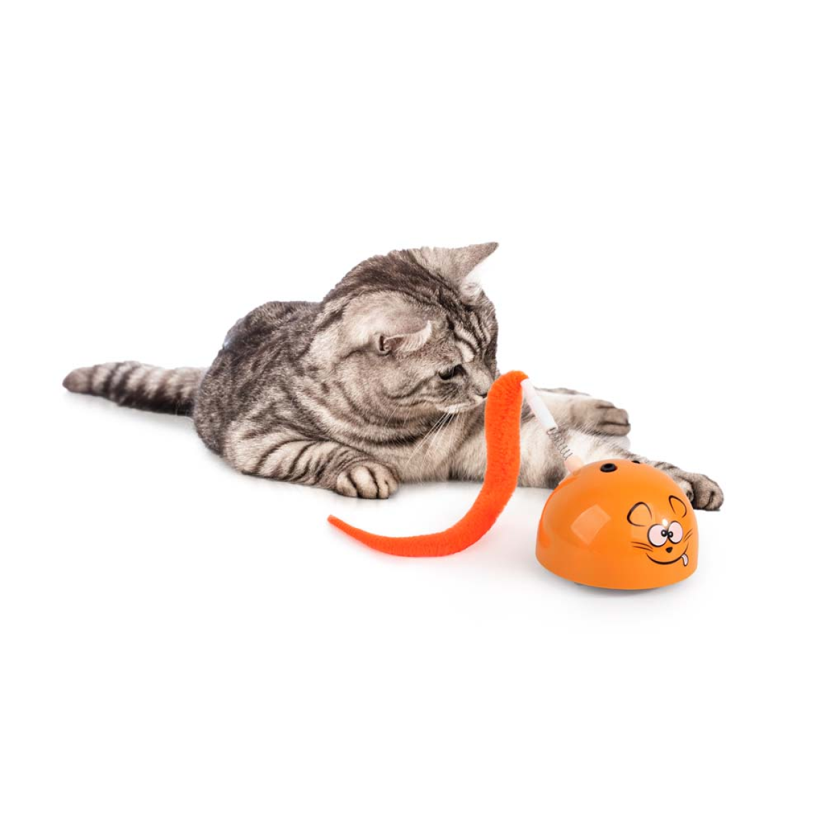 Modern Cat – Mad Mouse Cat Toy