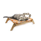 Modern Cat – Cat Lounge | Sleek Comfort with a Contemporary Touch