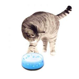 Cat Love Bowl