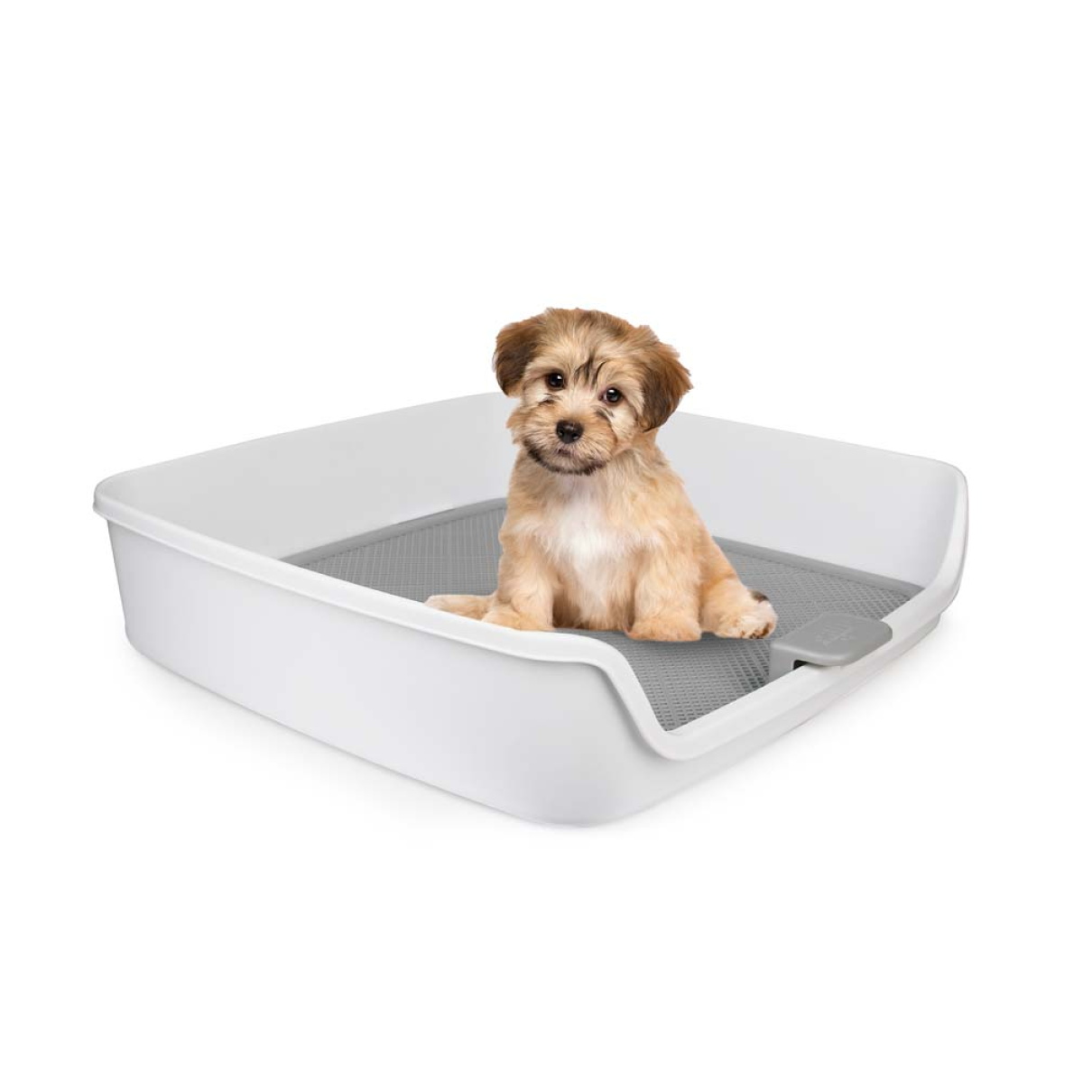 Go Fresh – Dog Pee Pad Holder Tray