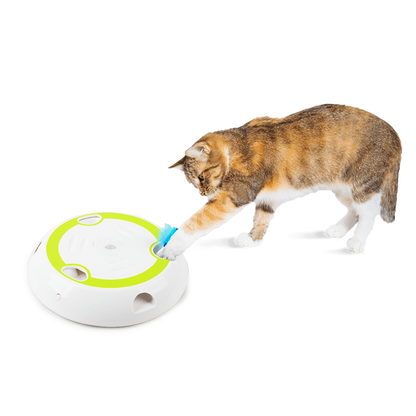 Interactive Cat Wack 'A' Feather