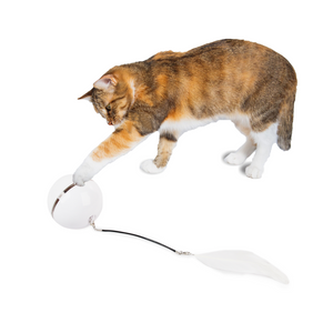 Interactive – Rolling Laser Ball Cat Toy