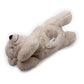 Little Buddy Warm Bear – Heatable Plush Comfort Toy for Puppies