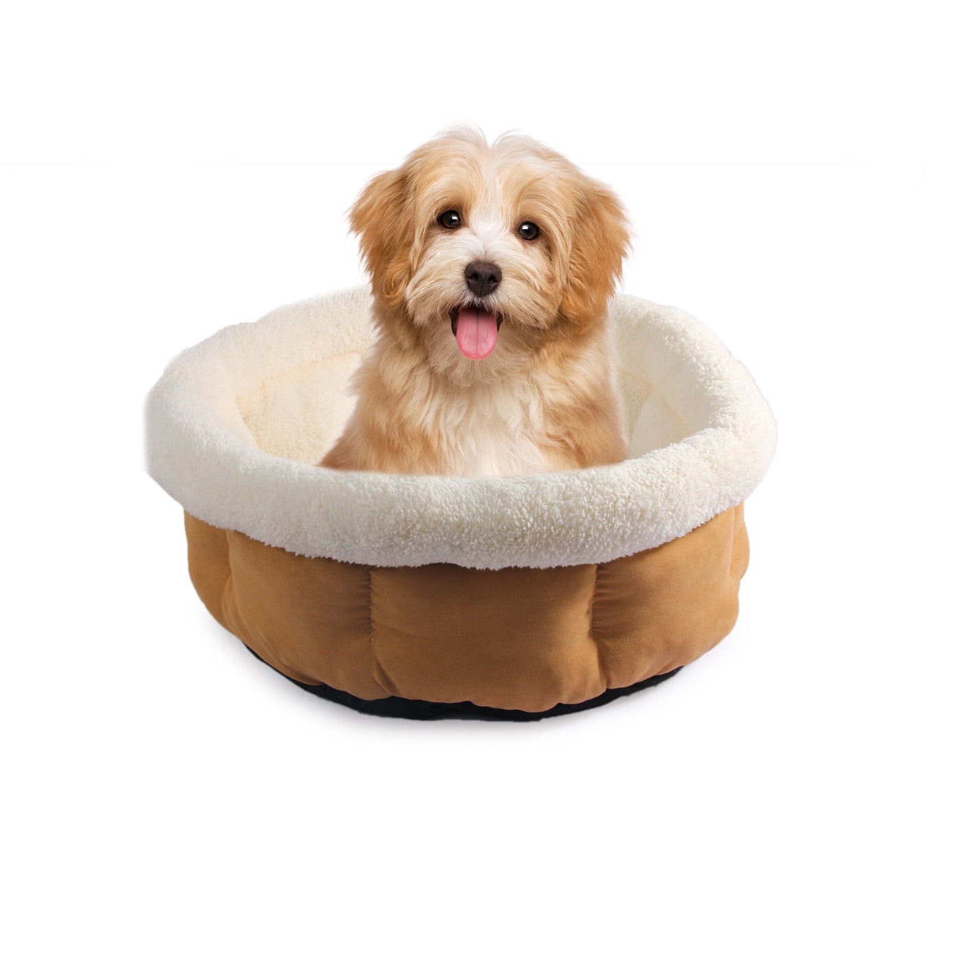 Cuddle Bed – Small Size Calming Bed for Cats & Small Dogs