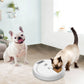 5-Meal Pet Feeder