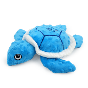 Chill Out – Sea Turtle