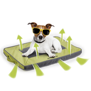 Quick Dry Outdoor Dog Mat