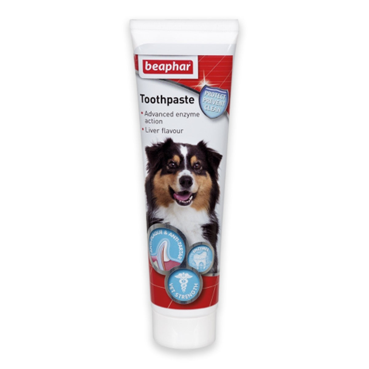 Toothpaste 100g