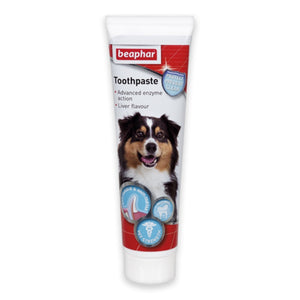 Toothpaste 100g