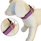 Mylord Leatherette Adjustable Dog Collar 26-40 x 1.5 cm