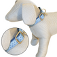 Mylord Leatherette Adjustable Dog Collar 26-40 x 1.5 cm