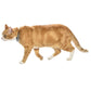 Chic Cat Collar - Black