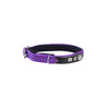 Lost Cat Collar - Violet