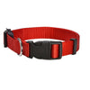 Access Collar - Large - Red