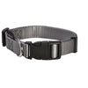 Access Collar - Medium - Grey