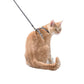 Confetti Cat Harness & Lead - Mauve / XS