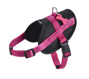 Easy Safe Harness - Fuschia