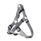 Access Harness - XS