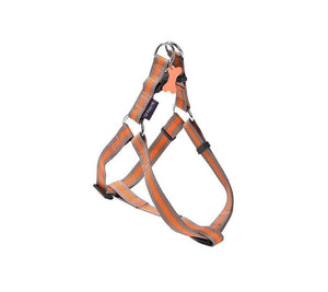Arlequin Classic Nylon Harness - XS