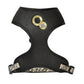 Chamane Harness & Lead - Black / M