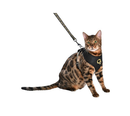 Chamane Harness & Lead - Black / M