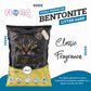Fiora Premium Bentonite Classic Cat Litter - 10L (Fragrance-Free)