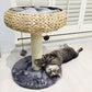 PAOLA Cat Playground - Grey