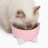 Catit Pixi Fountain - Mint Green/2.5L - Pink