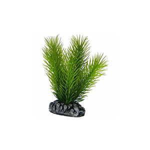 Artificial Plant - Mayaca Small