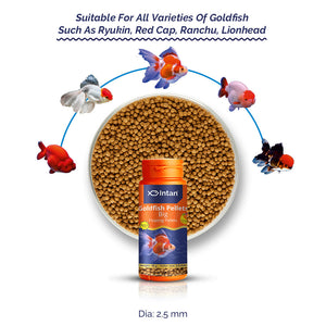 Gold Fish Food Big Floating Pellets