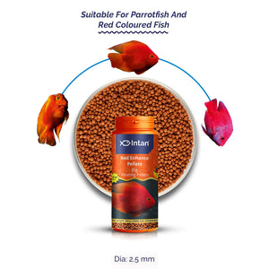 Parrot fish food Red Enhance Big Floating Pellet