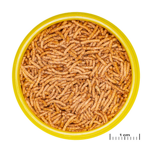 JBL Pronovo Betta Insect Stick S 20ml