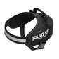 IDC Powerharness - Black
