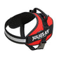 IDC Powerharness - Red