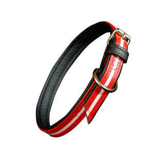 IDC Lumino Collar Red Width 2.5 cm & Length 50 cm